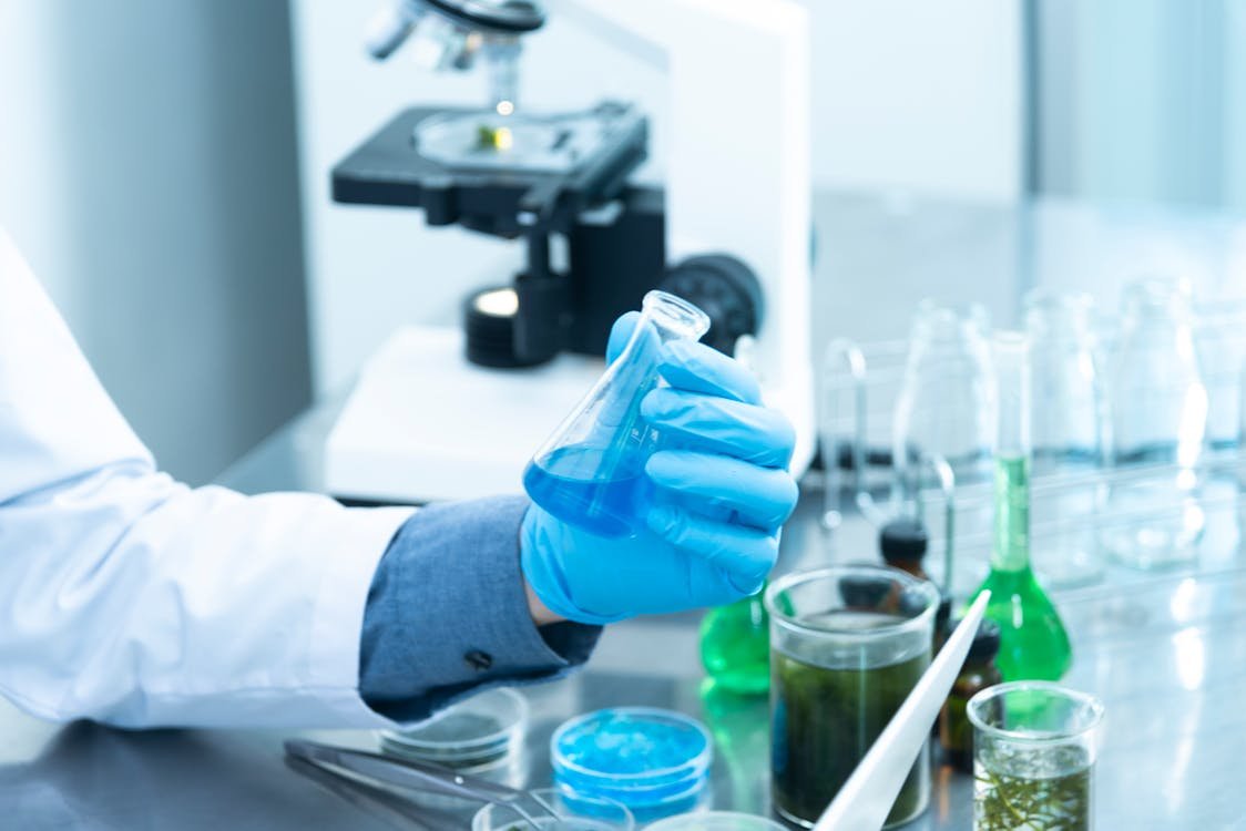 Cocoa powder quality testing and document review