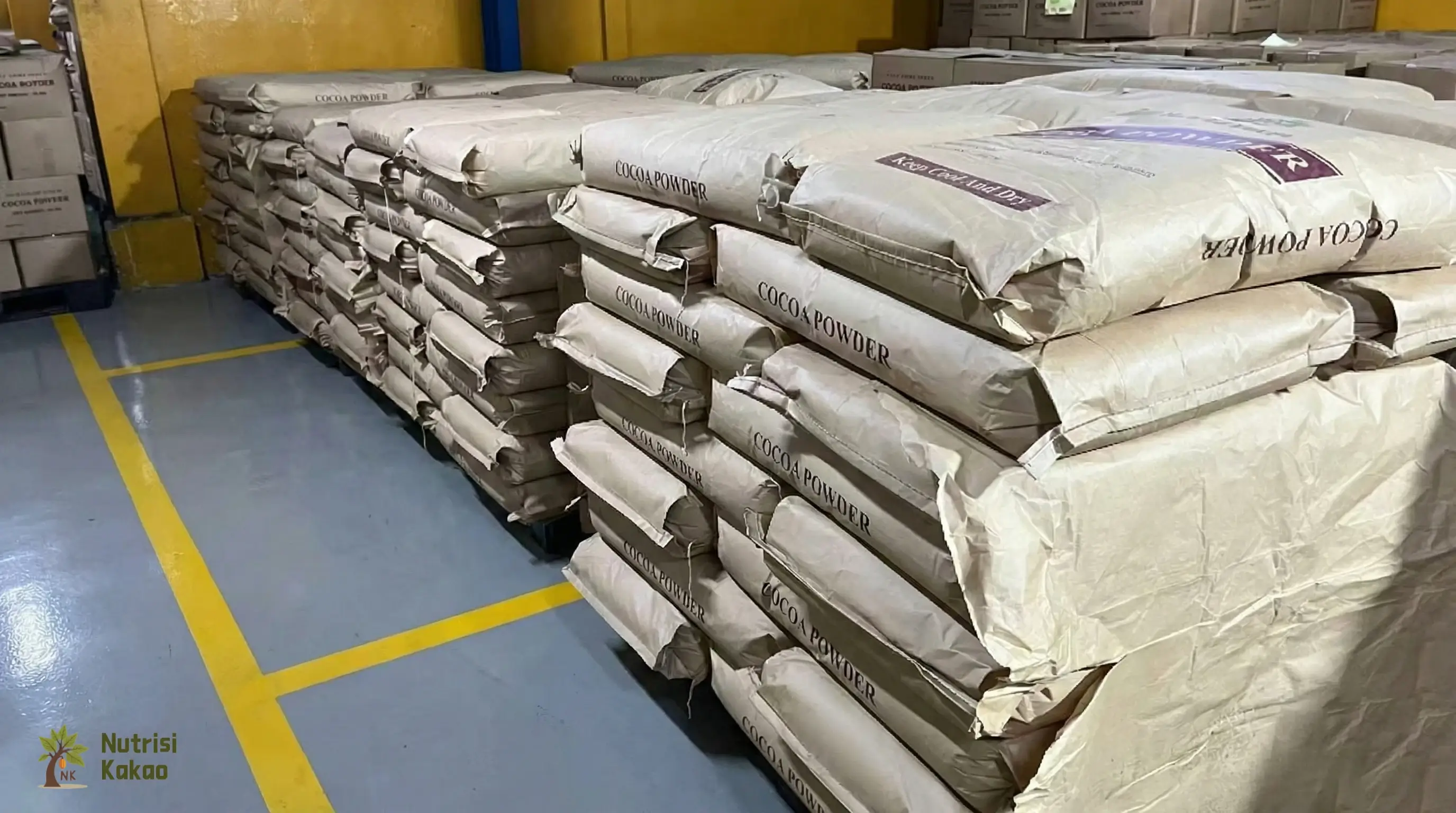 Bulk Cocoa Powder Supplier Indonesia: B2B Buying Guide - NK Cocoa Industry News and Insights